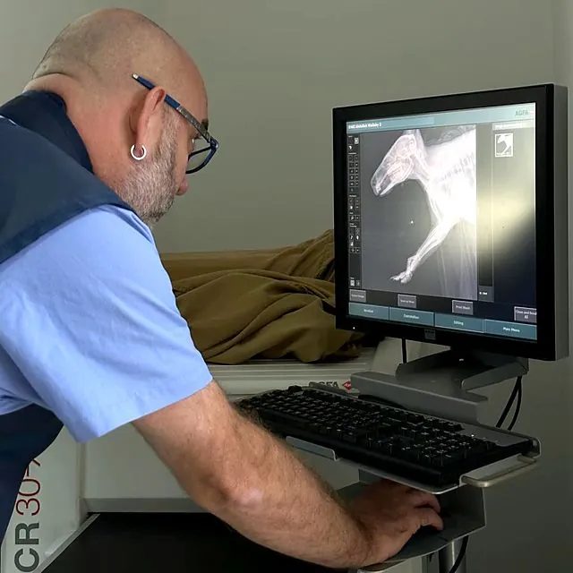 Dr Piotr reviewing a digital X-ray