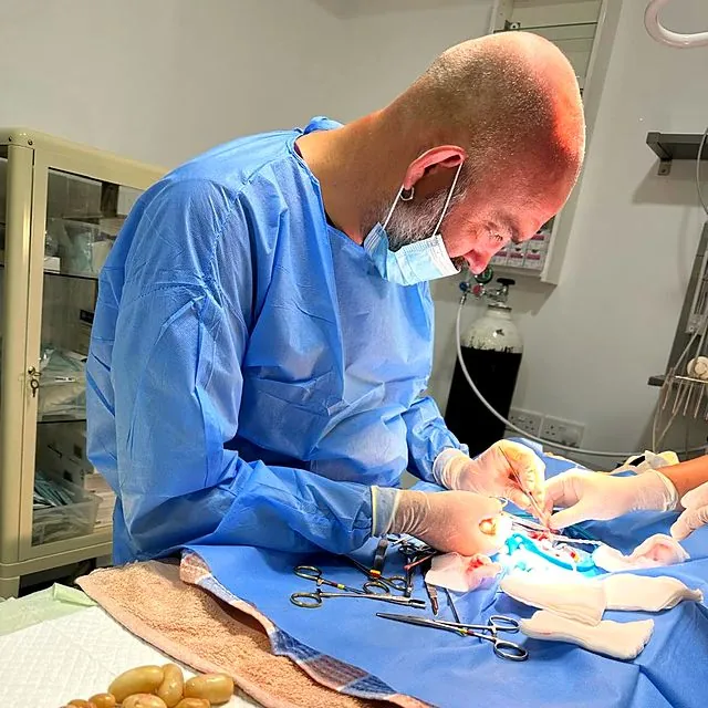 Dr Piotr in theatre during a soft tissue procedure