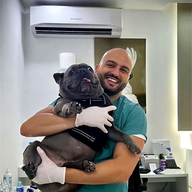 Dr Furkan holding a smiling French bulldog in the consult room