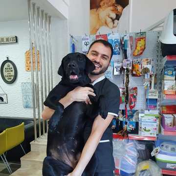 A Labrador at the clinic