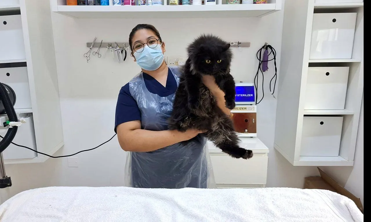 Lena holding a fluffy black cat before its groom
