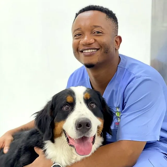 Dr Tinashe hugging a happy Bernese Mountain Dog