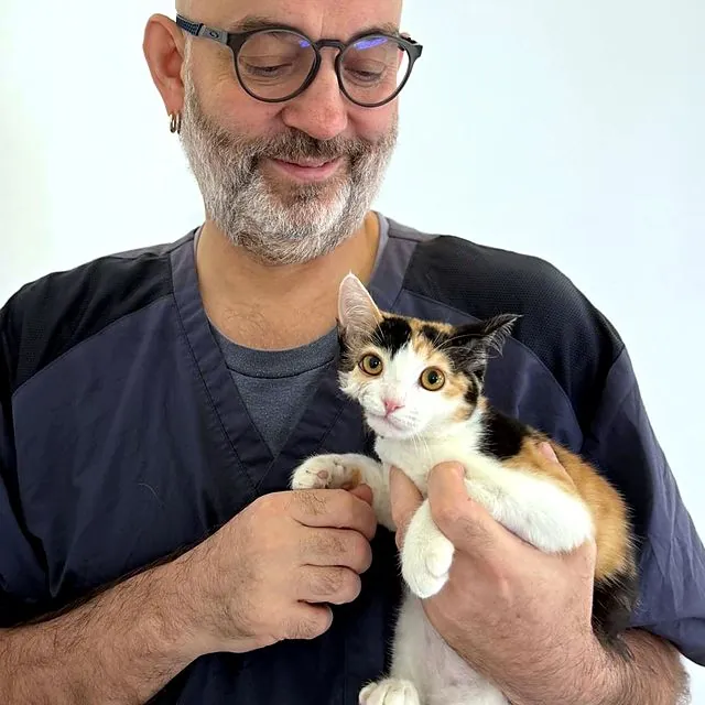 Dr Piotr holding a calico kitten