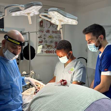 Dr Piotr operating with the surgical team