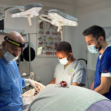 Surgery in the operating theatre