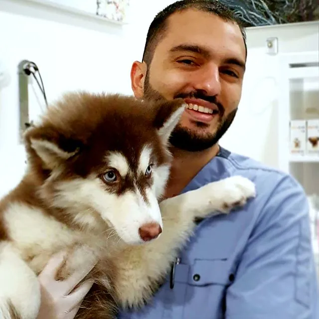 Dr Furkan cuddling a blue-eyed husky puppy