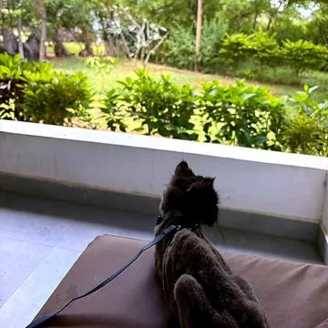 Odin on the terrace of his new home in Zanzibar