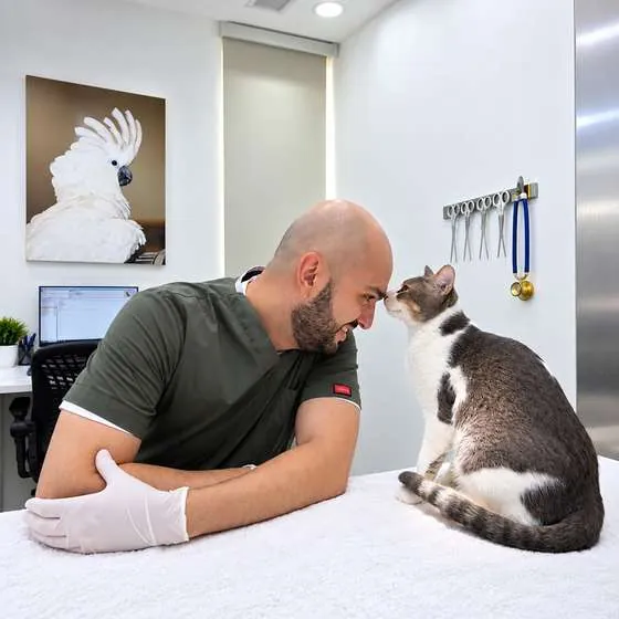 Dr Furkan, Senior Veterinary Doctor at Advanced Pet Care Clinic
