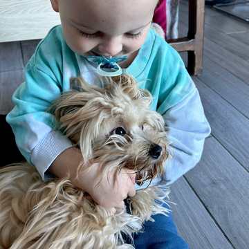 A child with the family dog