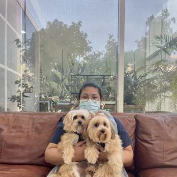 Two dogs waiting with a nurse