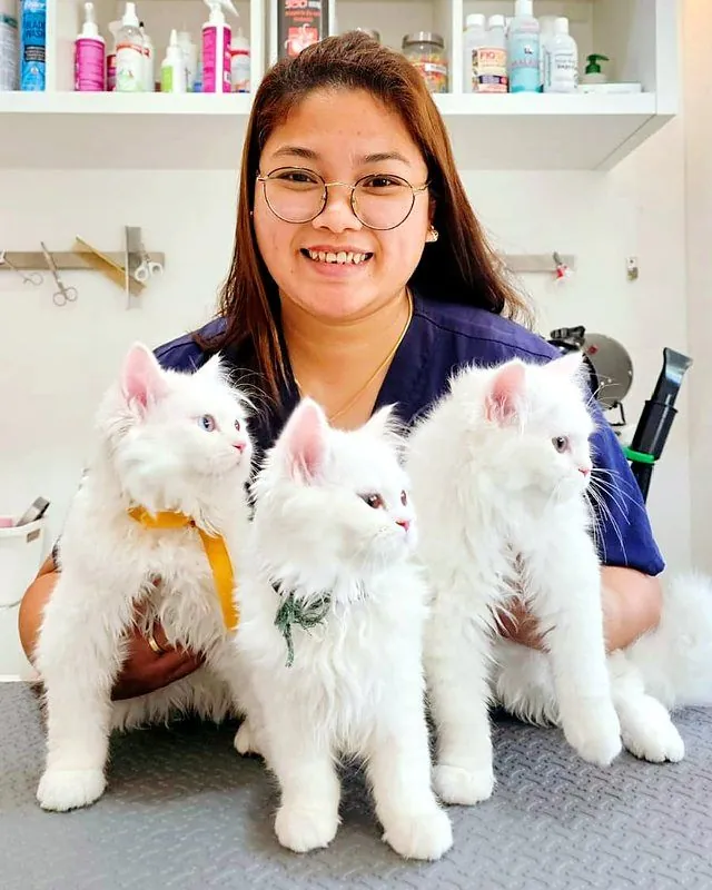 Lena smiling behind three fluffy white kittens