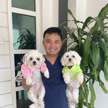 Two freshly groomed dogs
