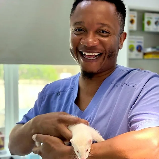 Dr Tinashe laughing with a white ferret on his arm