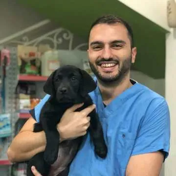 A Labrador puppy with one of the team