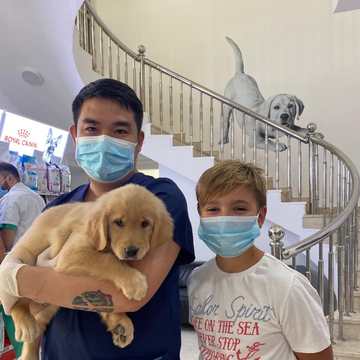 A puppy brought in for a check-up