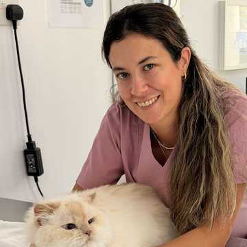 A vet with a Persian cat