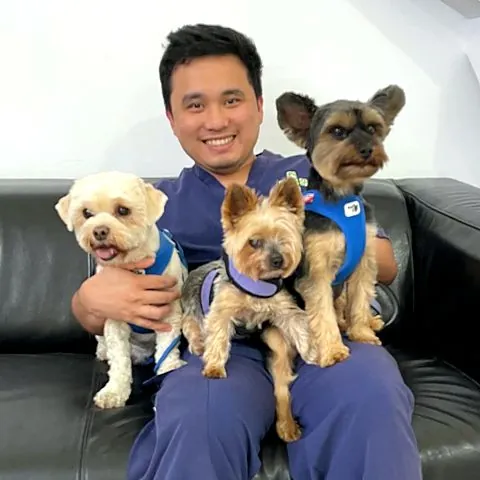 A member of the APCC team on the sofa with three happy small dogs
