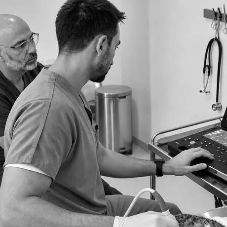 Dr Eren scanning a patient alongside the team