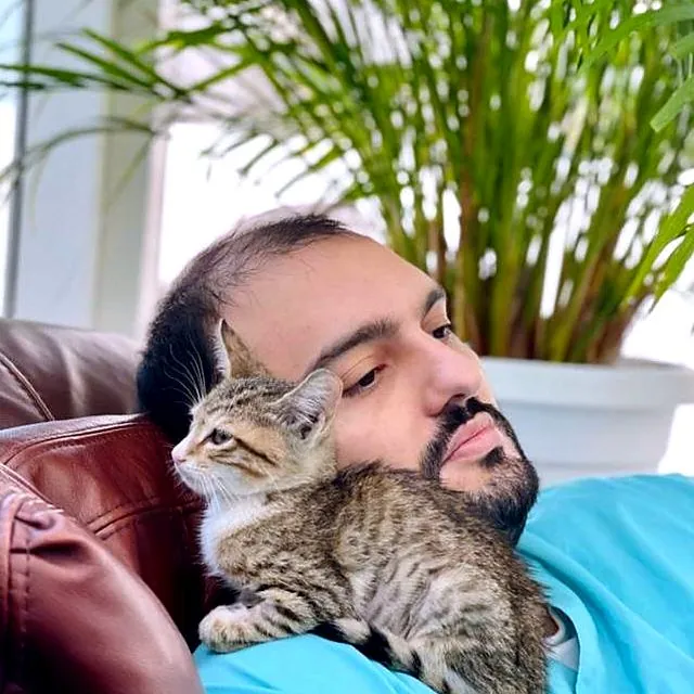 A tabby kitten resting on Dr Furkan's shoulder