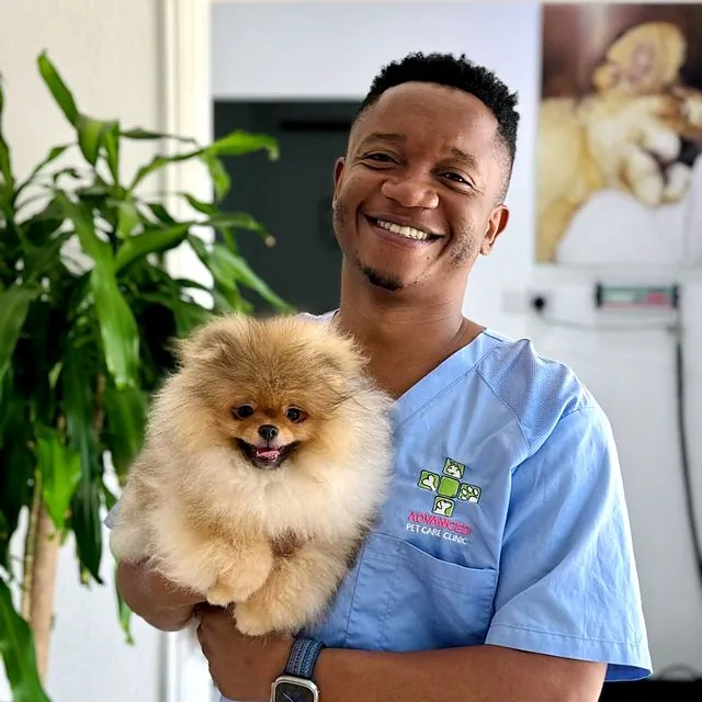 Dr Tinashe holding a fluffy Pomeranian puppy
