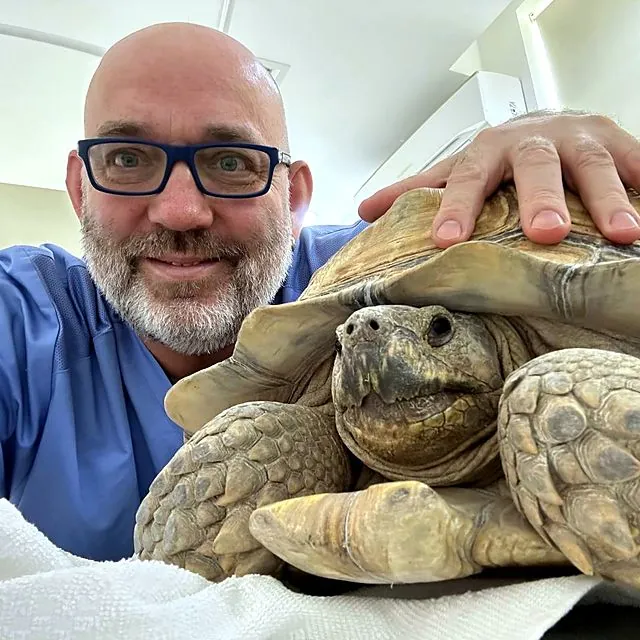 Dr Piotr with a large tortoise patient