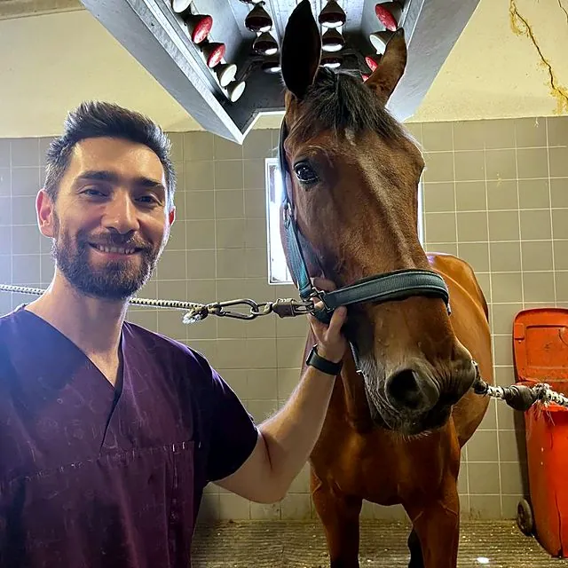 Dr Eren with a horse under a stable heat lamp