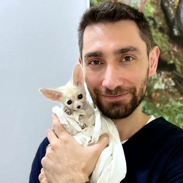 Dr Eren holding a fennec fox kit wrapped in a towel